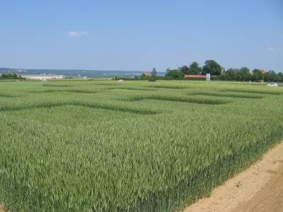 L'agroécologie, un plan en marche !