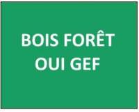 Vignette verte Bois Foret OUI GEF