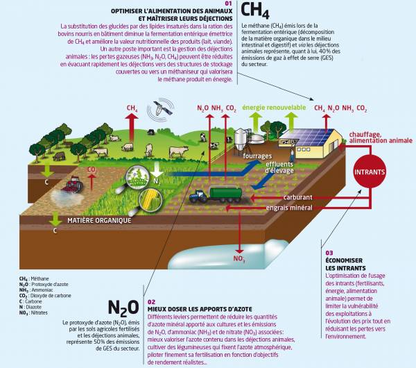 schema_agro-ecologie_1