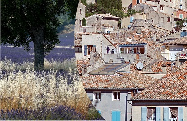 Bien-être et attractivité territoriale