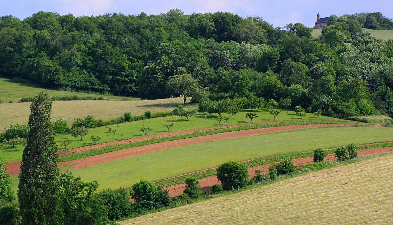 Accompagner la transition agroécologique