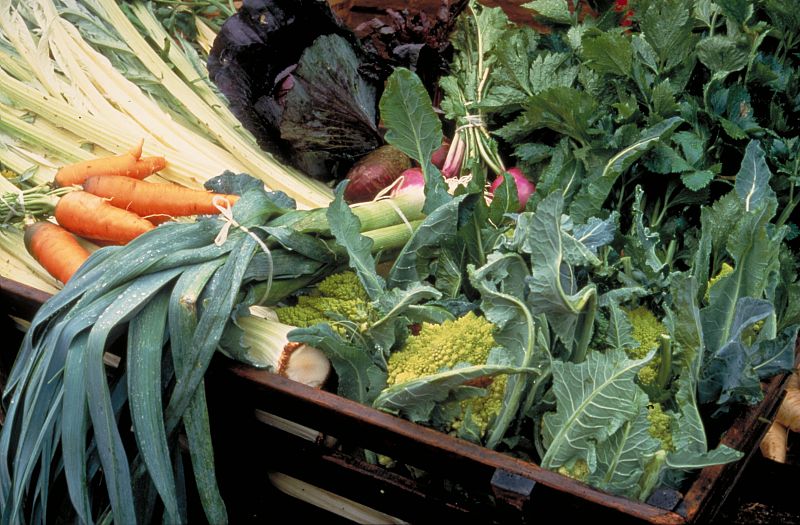 Comprendre et accompagner les nouvelles initiatives et stratégies alimentaires pour les territoires