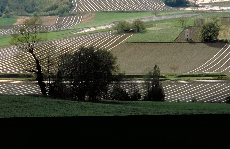 Recomposition du rapport Propriété / Usage agricole du foncier : Enjeux agricoles et territoriaux